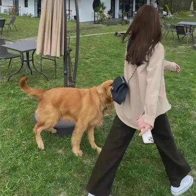 跳高一点